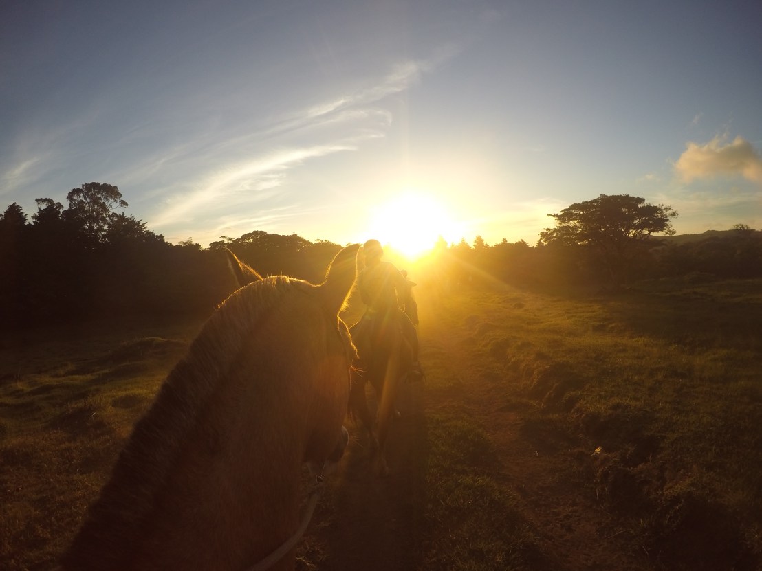 DCIM100GOPROGOPR0997.